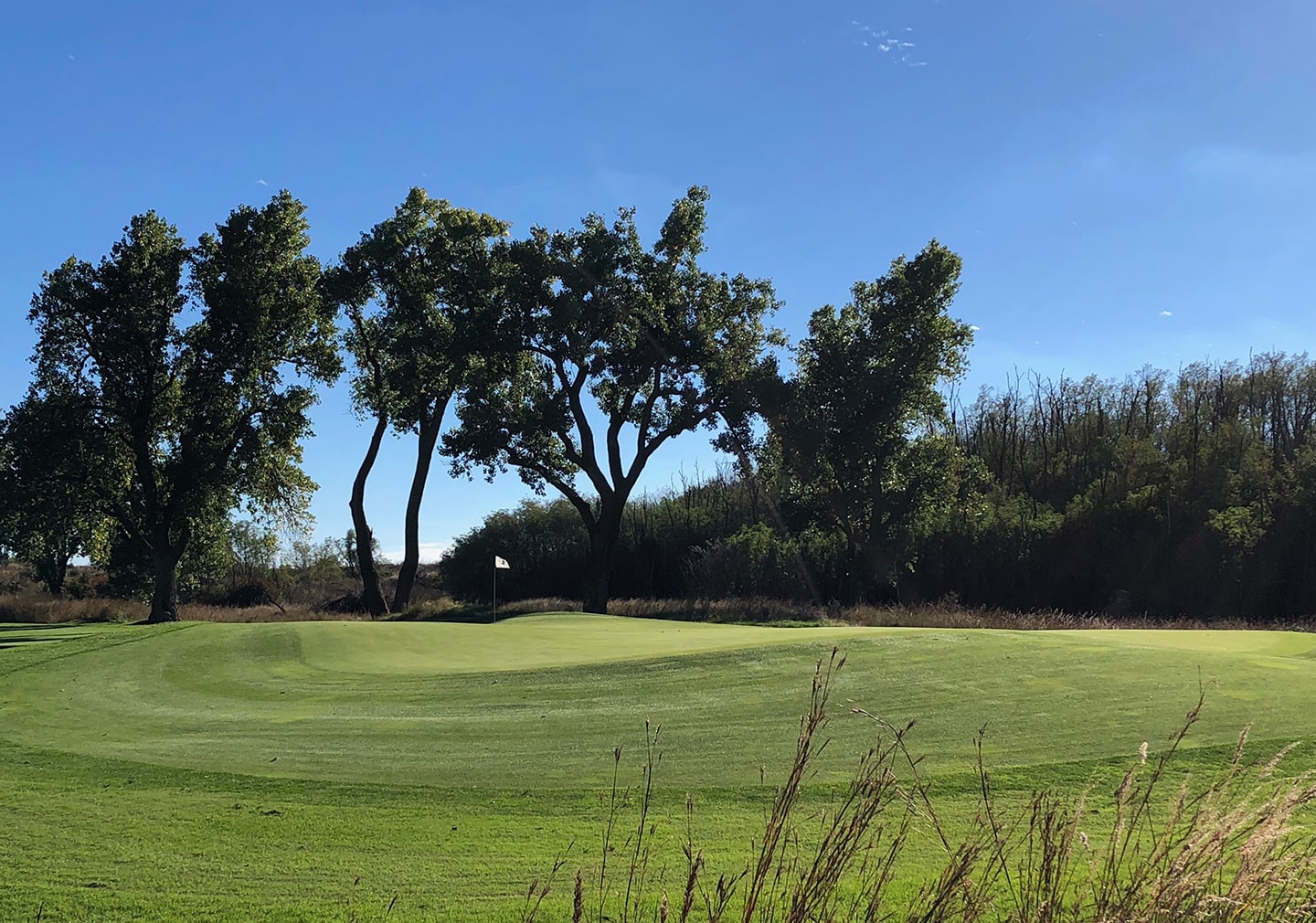 Trees or no trees?: The 12th at Prairie Dunes