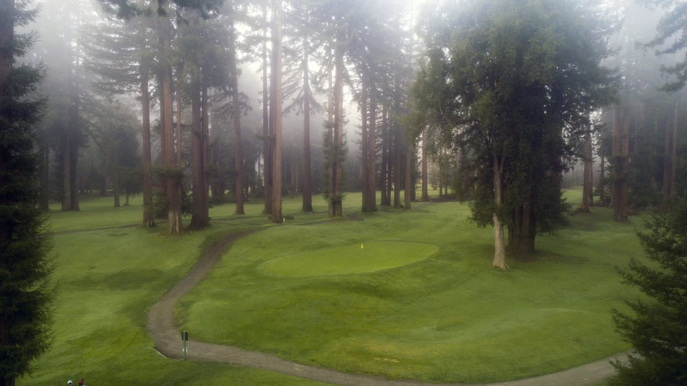 What could be: The 2nd at Northwood