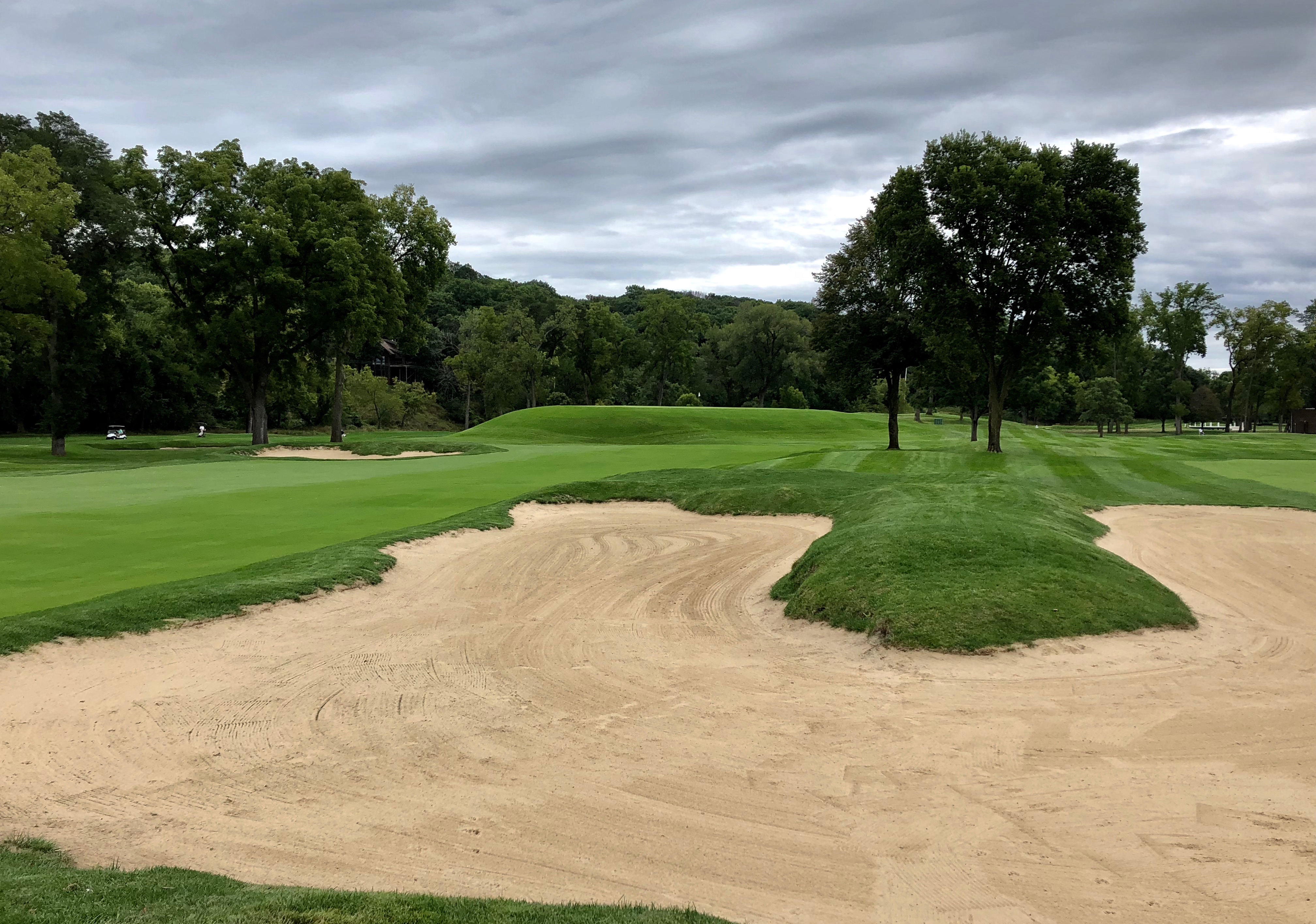 Leading the charge for restoration: Cedar Rapids