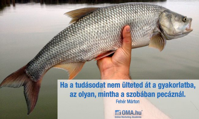 Ha a tudásodat nem ülteted át a gyakorlatba, az olyan, mintha a szobában pecáznál! (Fehér Márton - OMA.hu)