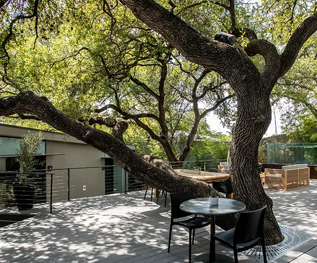 Frame Treehouse courtyard under majestic live oak.
