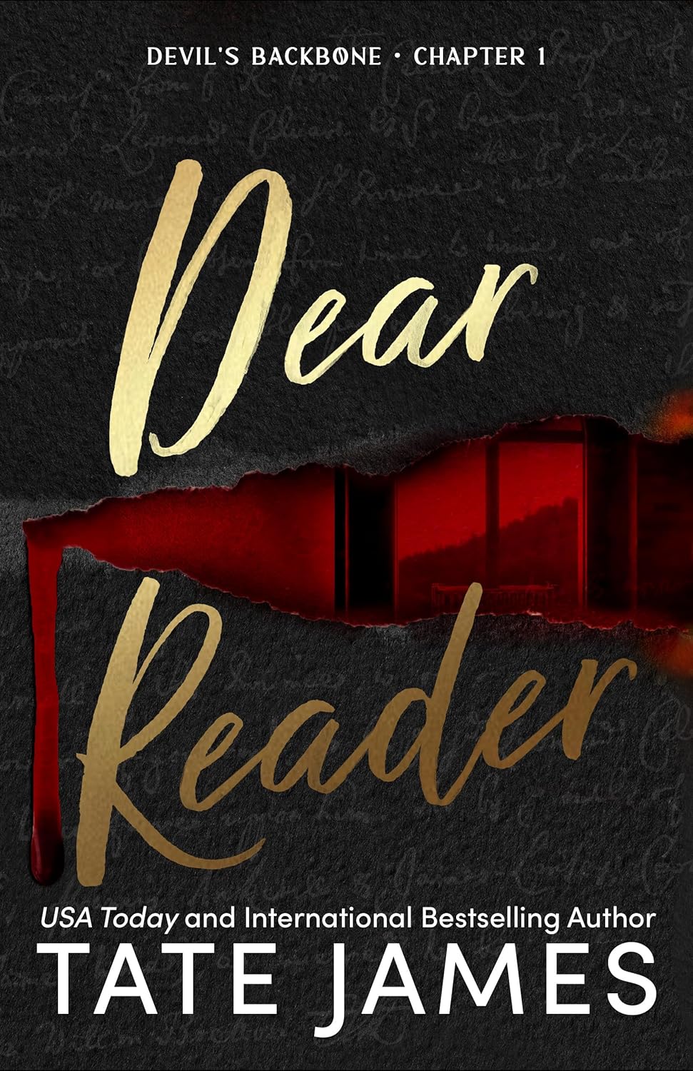 Front cover of Dear Reader by Tate James.