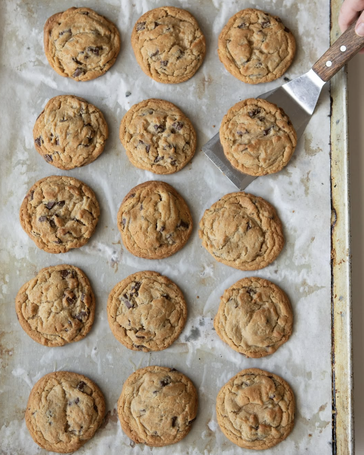 Chocolate Chip Cookie