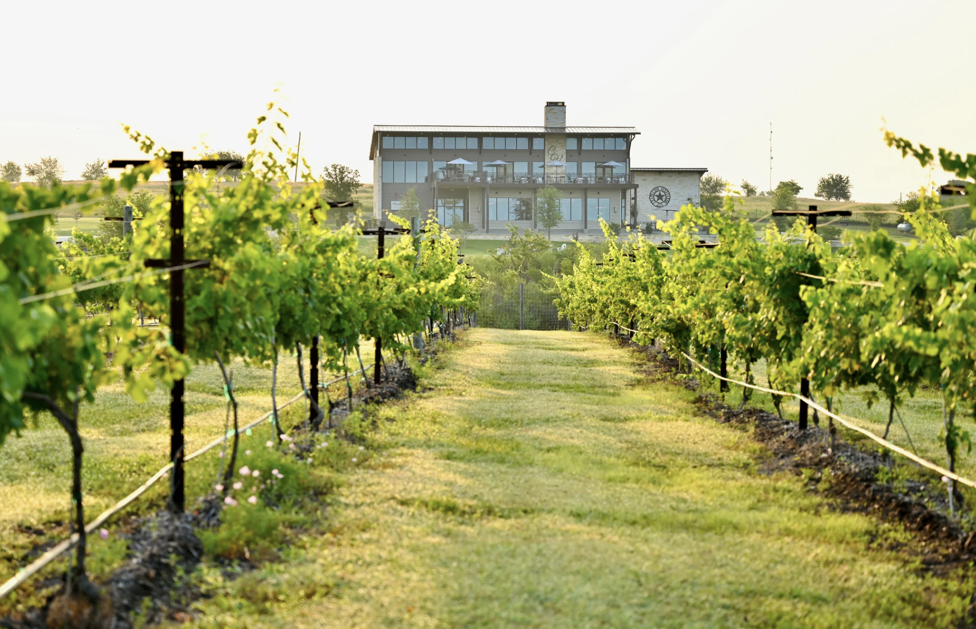 Just Down the Road, But a World Away: Chapelton’s Rise in Texas Wine Country