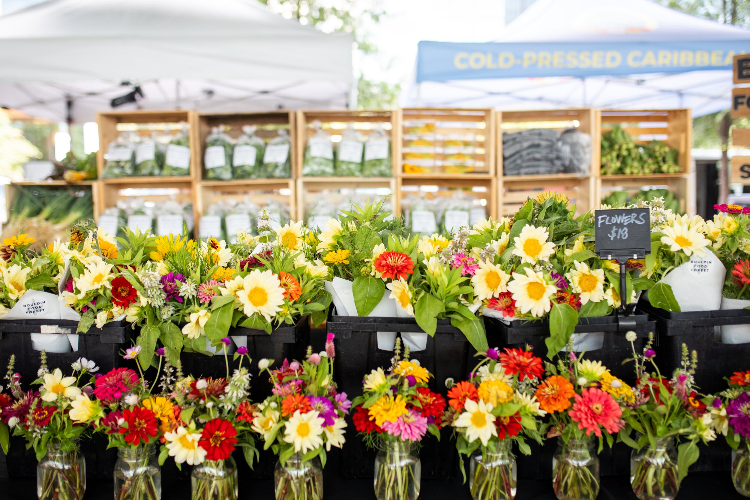 Y’all! We’ve Rounded Up the Best Dang Farmers Markets Across Texas