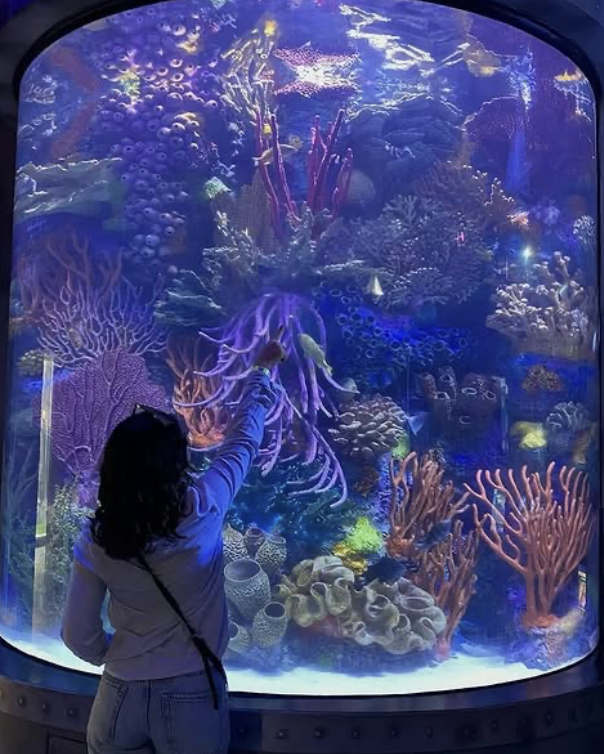 Downtown Aquarium