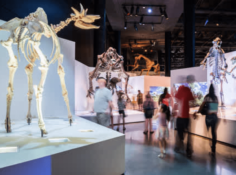 Houston Museum of Natural Science