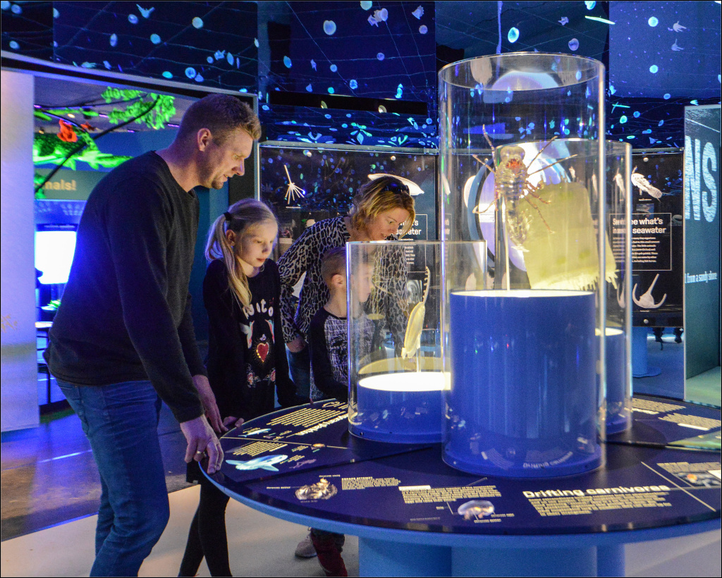 Dive into Fun with Unseen Oceans at the Witte Museum