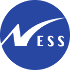 Ness Technologies Logo