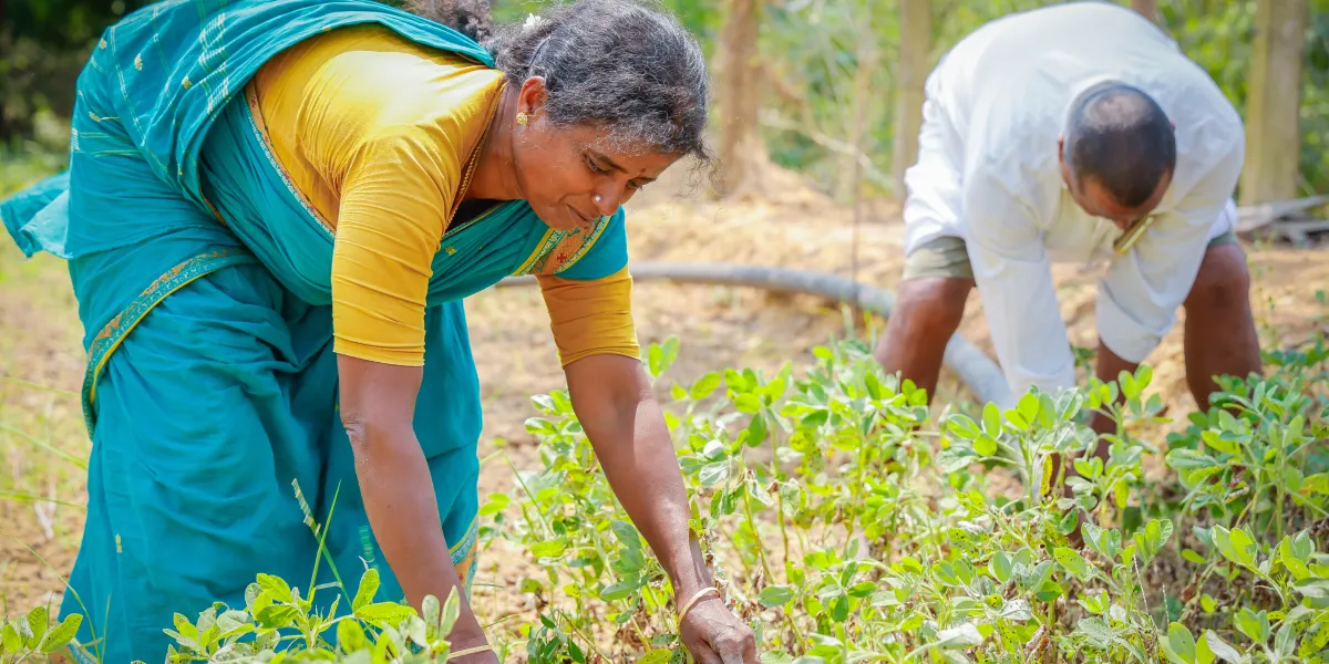 Nature-based livelihoods