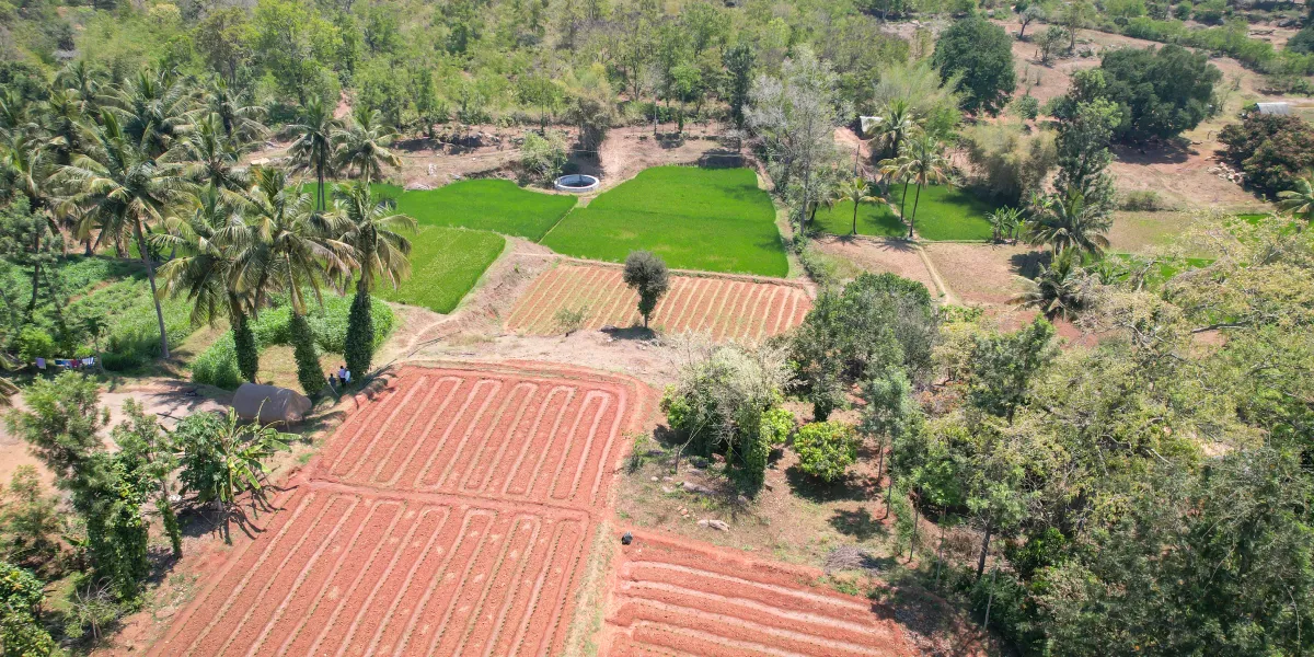 Soil revival with organic inputs