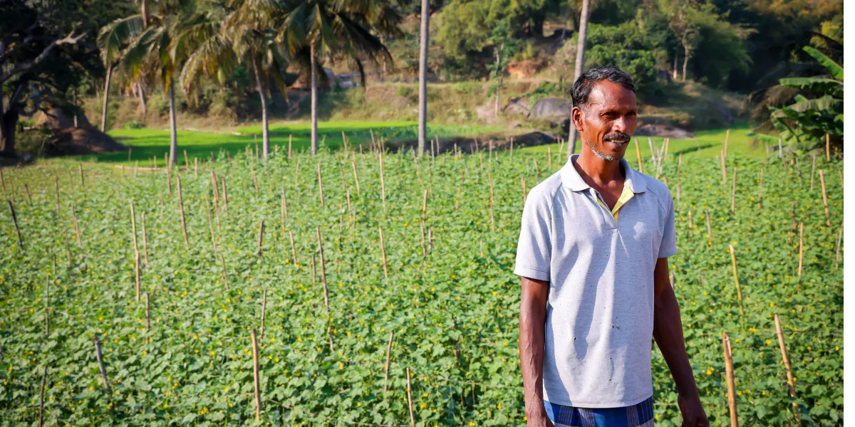 Organic and regenerative practices