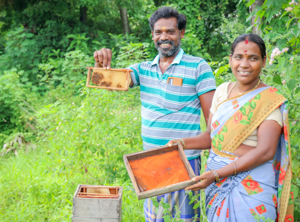 Careers and Internship