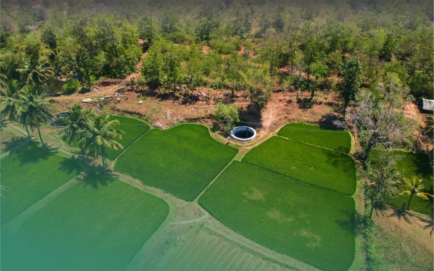 Nature resources and sustainable waste management Image