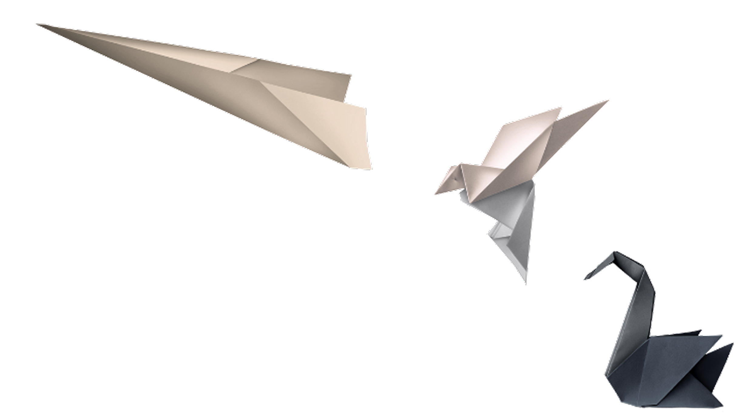 Paper Plane Image