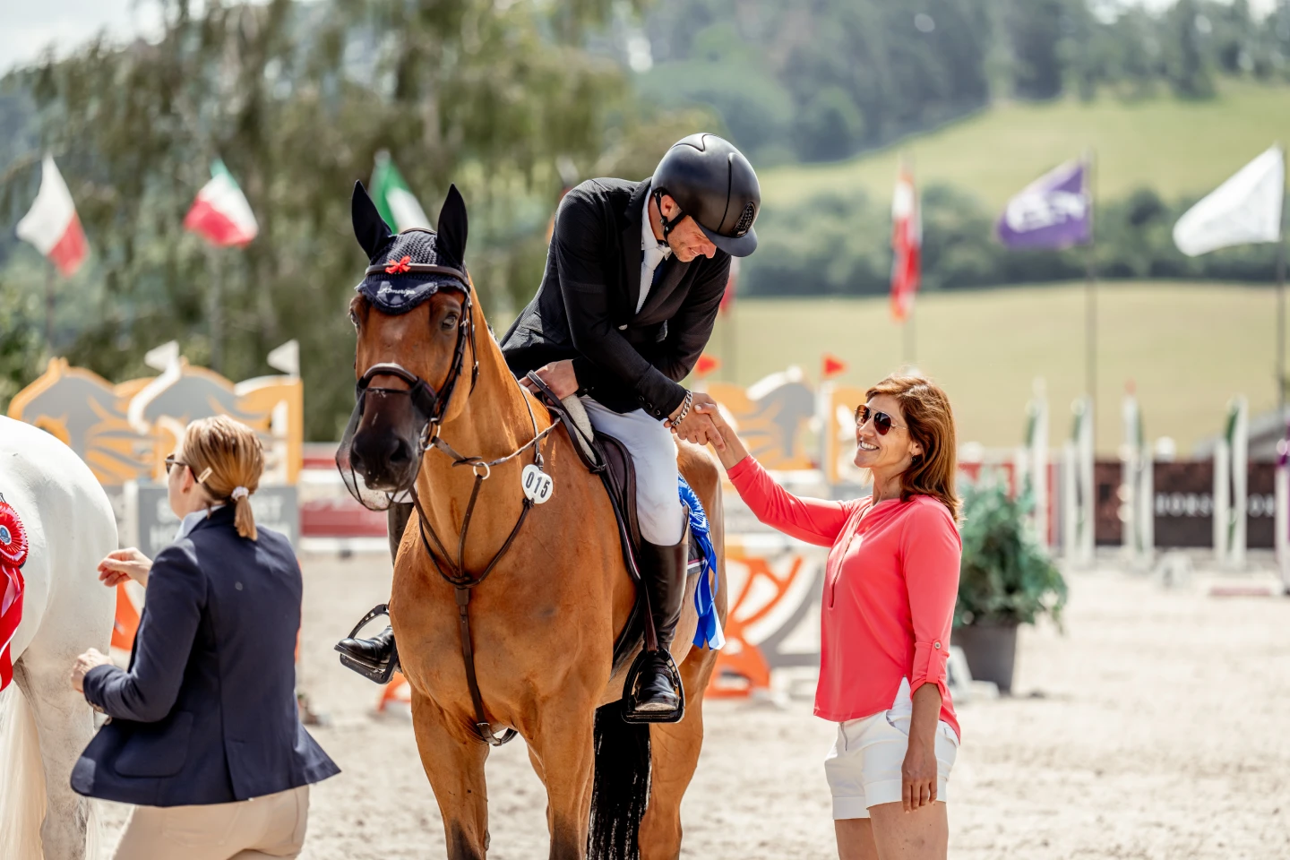 Horse Jumping 08