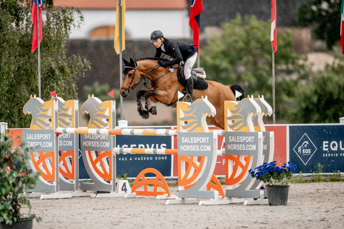Horse Jumping 09