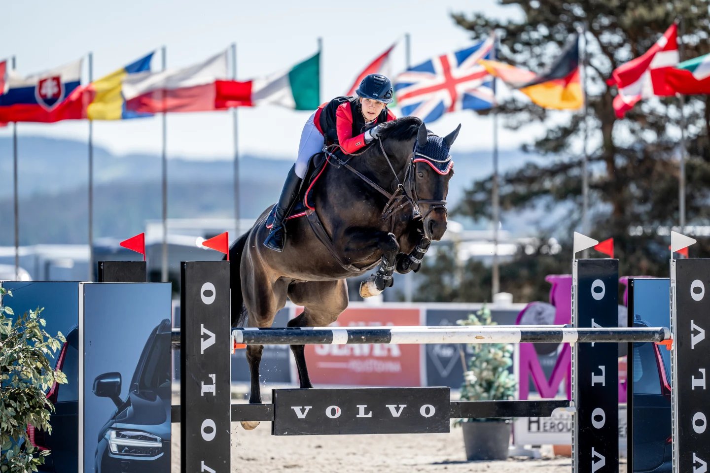 Horse Jumping 01