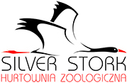 silver stork