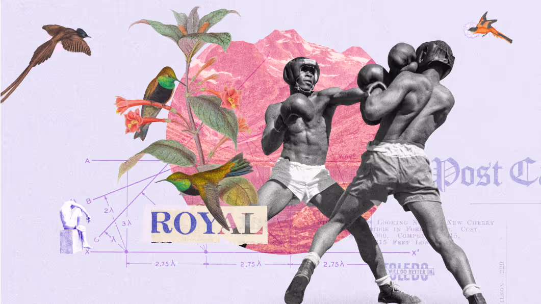 Collage of two boxers sparring, surrounded by birds, flowers, and diagrams.