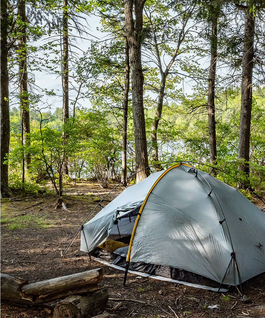 A tent in the woods