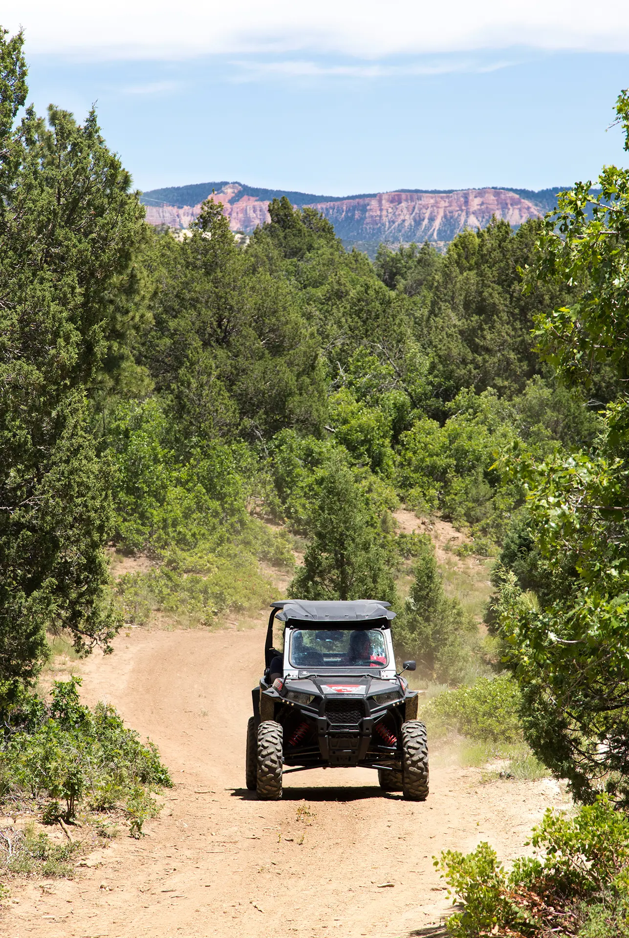 Side-by-side utility terrain vehicle (UTV) driving along a forested dirt trail surrounded by greenery with red cliffs in the distance.