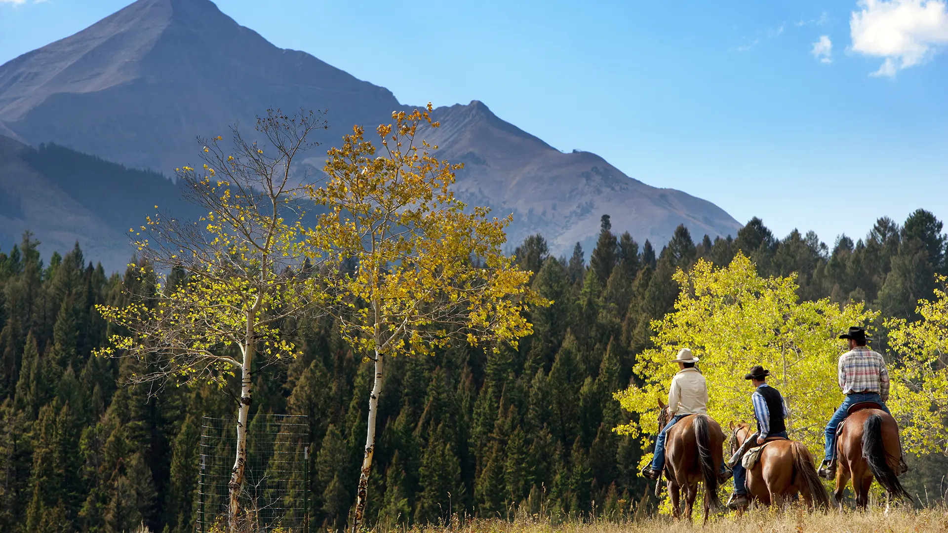 Three horseback riders in cowboy hats exploring a forested mountain trail during fall in Utah’s Wasatch Back region.