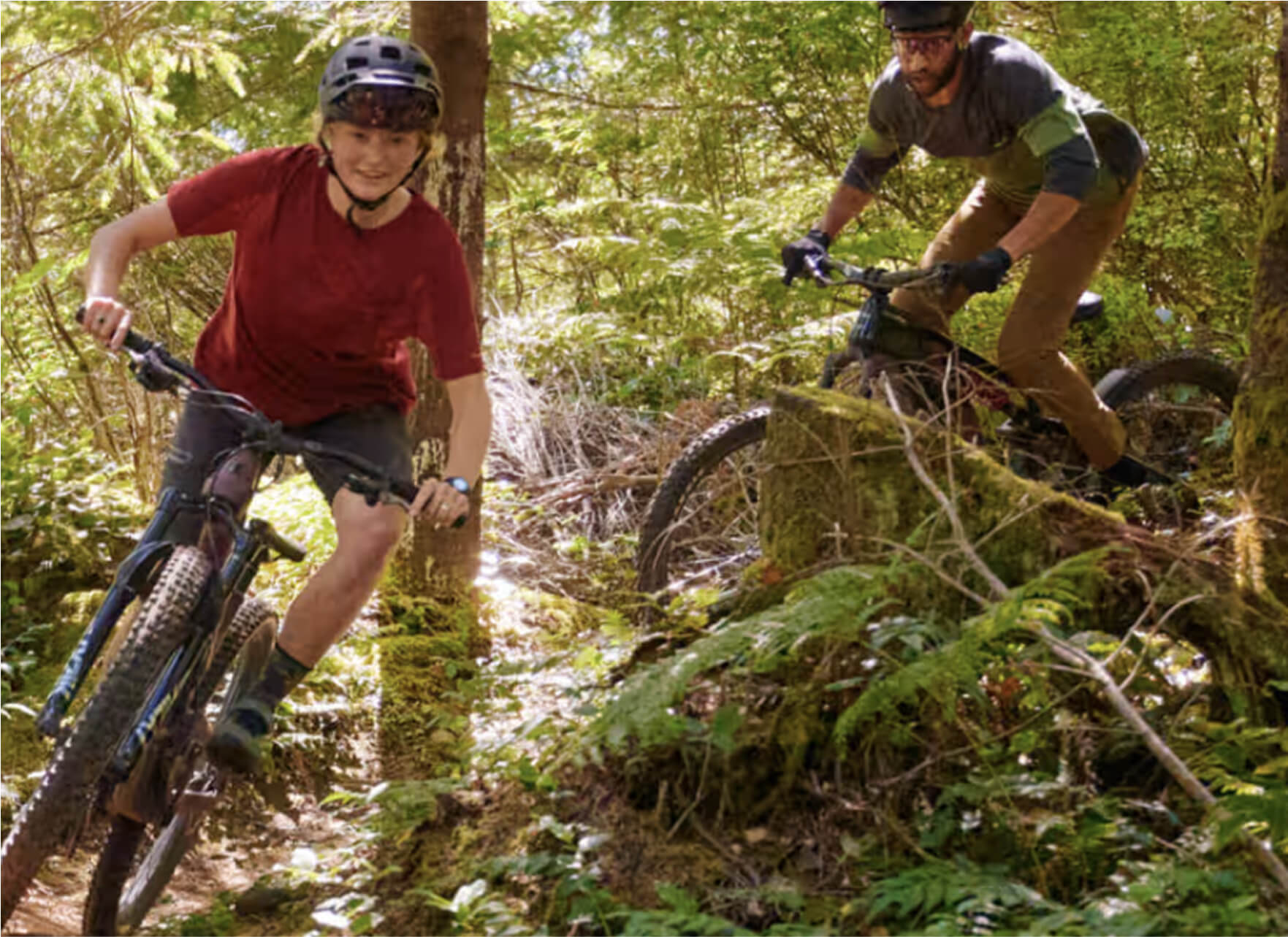 Two mountain bikers riding through the woods.