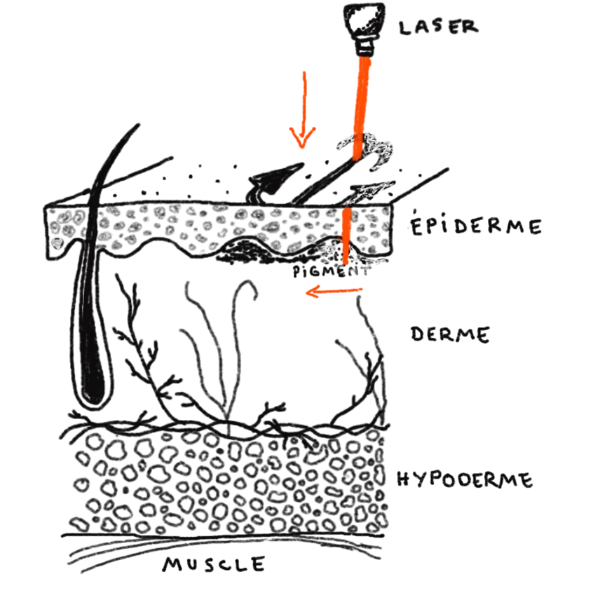 Diagram of a soil cross-section showing layers: humus and topsoil, subsoil, and mycelium with an orange arrow indicating flow through the layers.