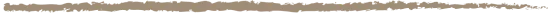 Thin horizontal brown line on a transparent background.