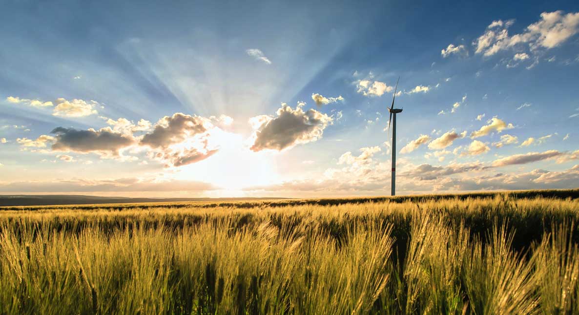 Thomas Armstrong carbon reduction