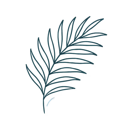 Simple dark green outline illustration of a palm frond with several long, narrow leaves.
