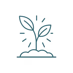 Line illustration of a small plant with two leaves sprouting from soil, surrounded by accent lines.