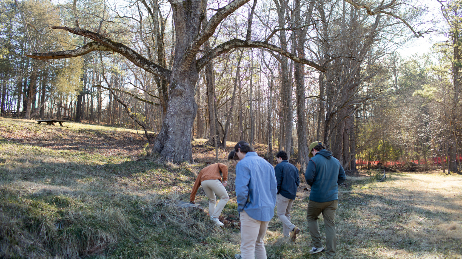 HIGH PINES