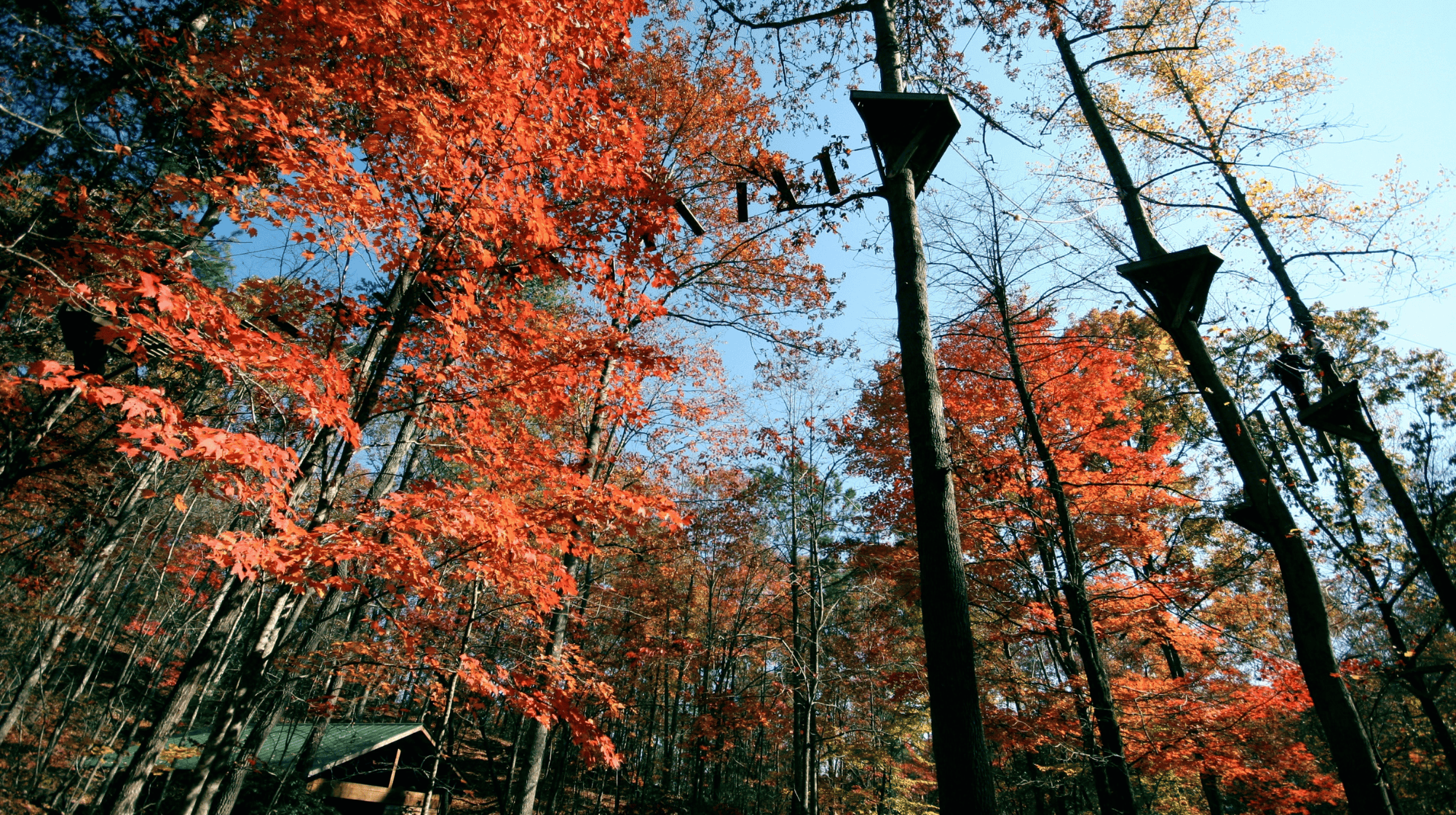 CAMP HIGHLAND
