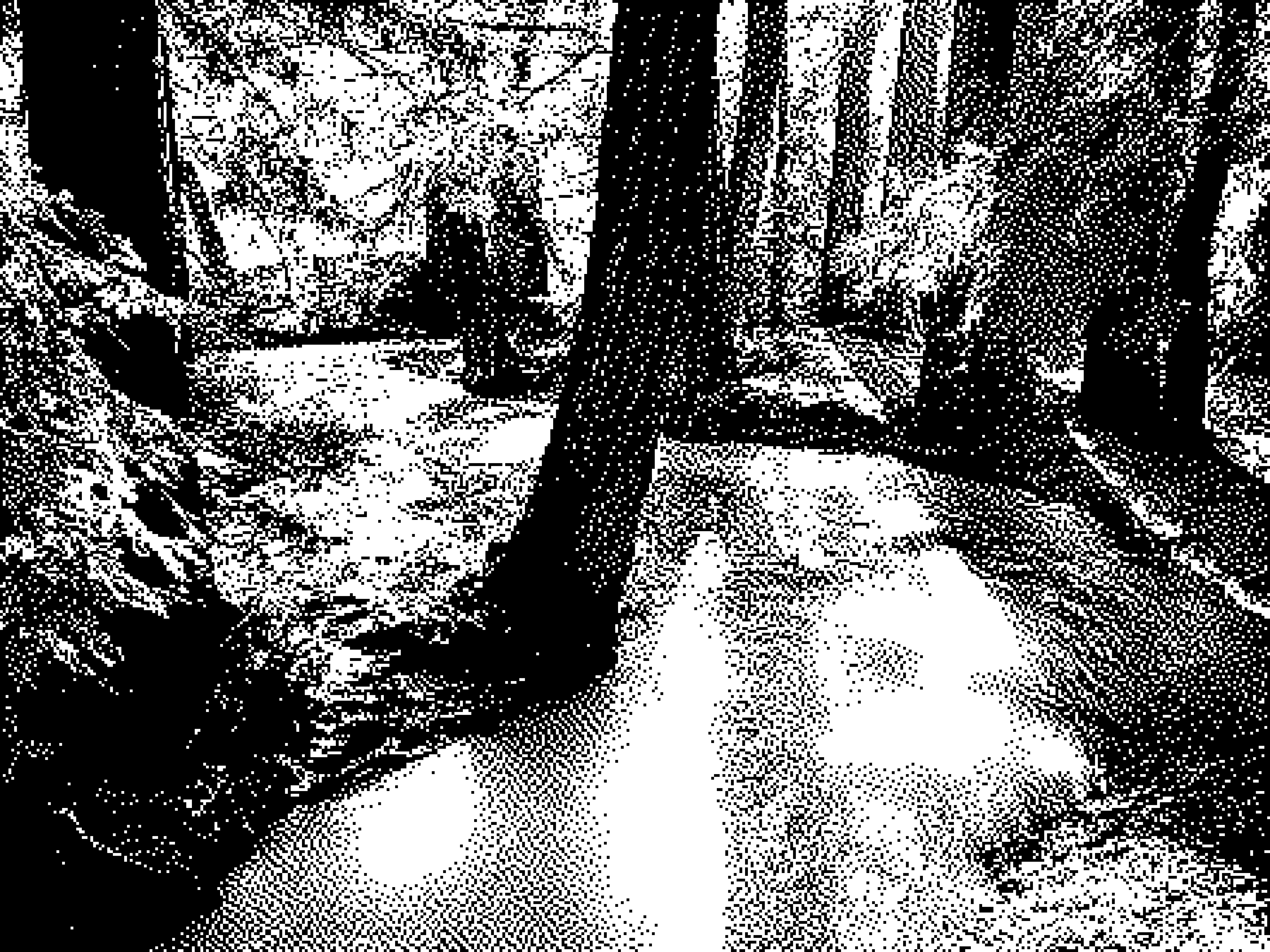 "Adobe Creek at high flow, a week after January 2017 rains, in Los Altos Redwood Grove", 2017; photo - Dick Lyon