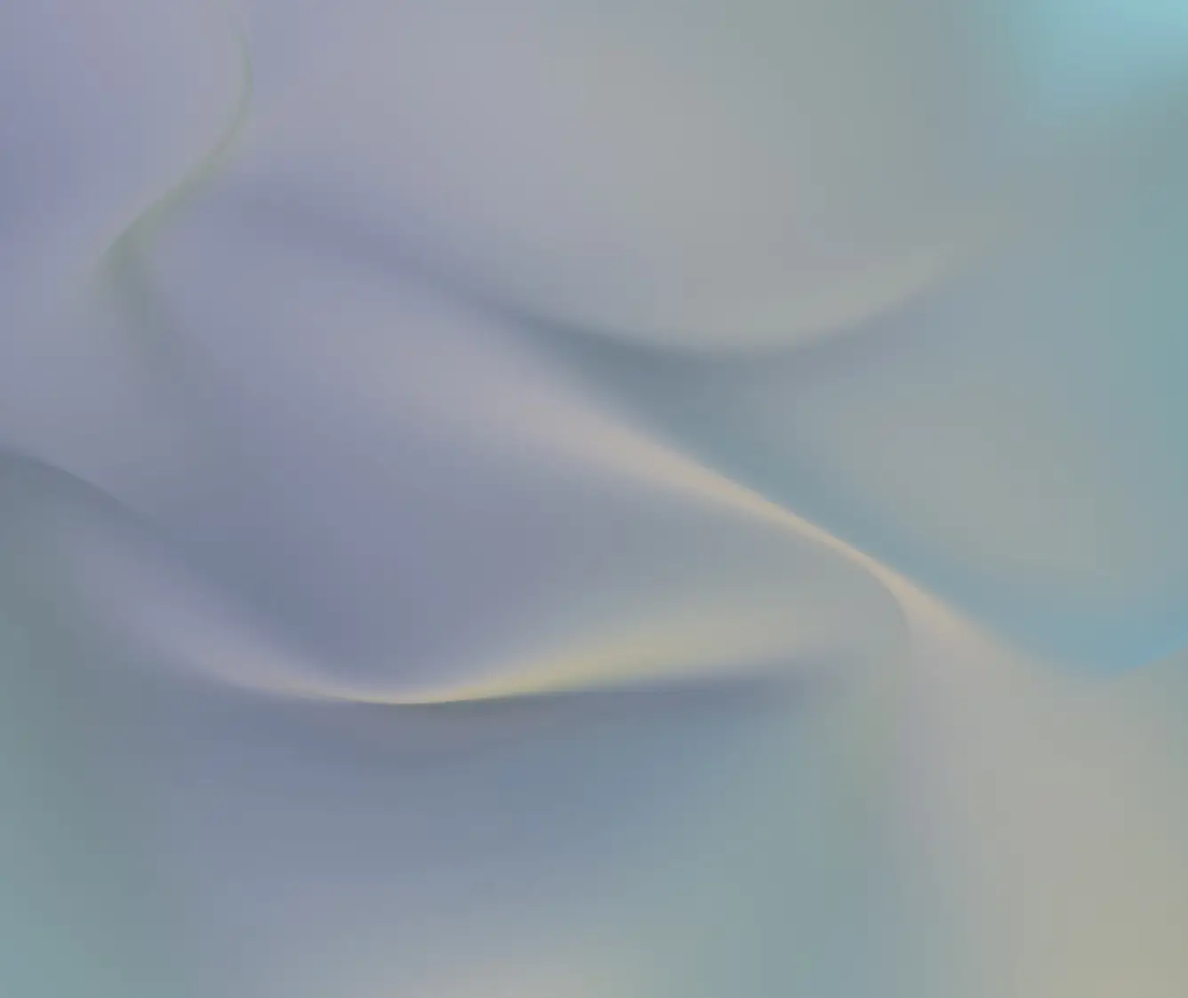 Work Item Image
