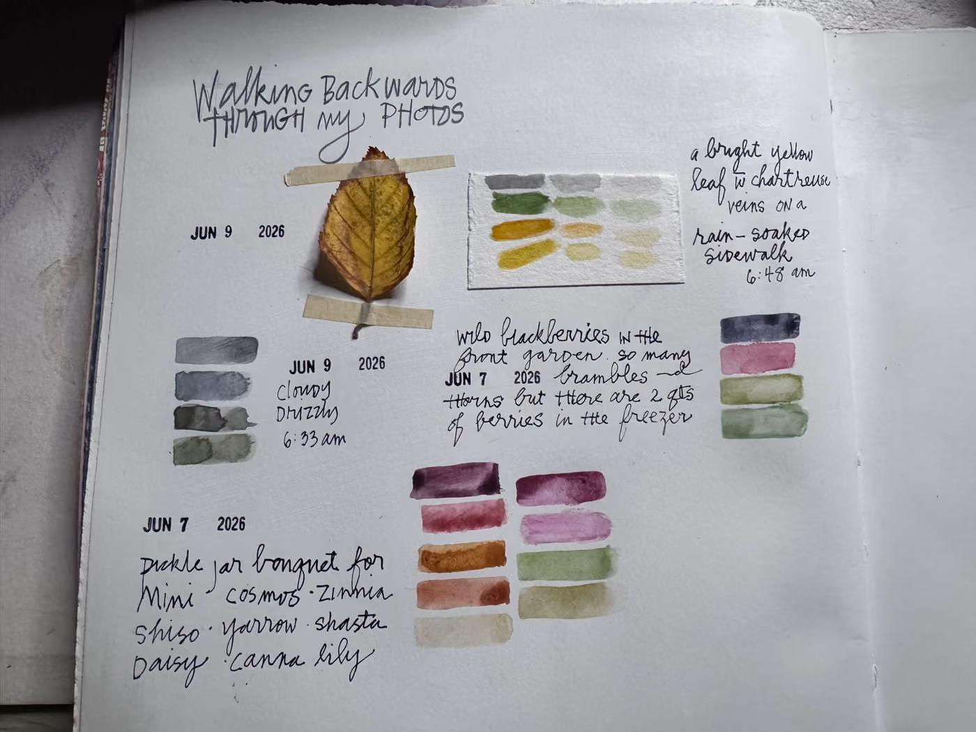 Another page from Betsy's visual journal