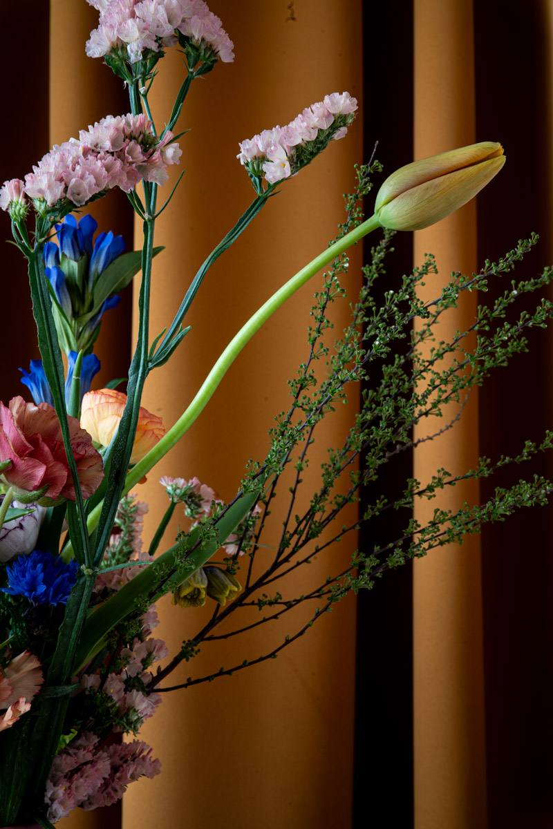 Van krulwilg tot korenbloem