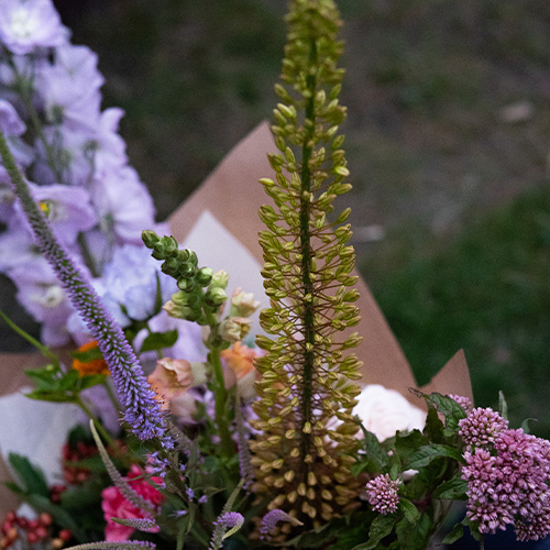 Eremurus in het boeket van de week van Bloemenatelier
