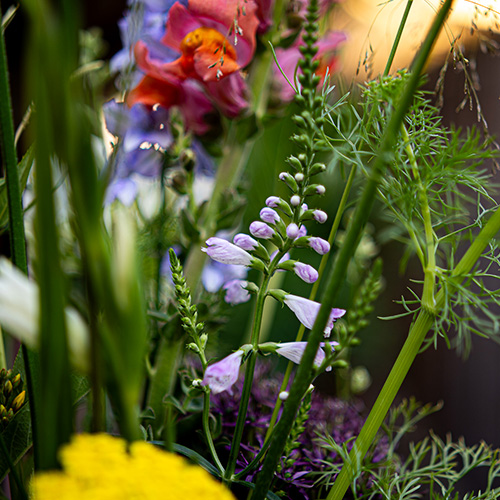 Physostegia in het boeket van de week van Bloemenatelier