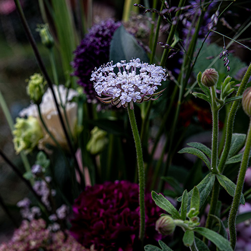 Roze kantbloem in het boeket van de week van Bloemenatelier
