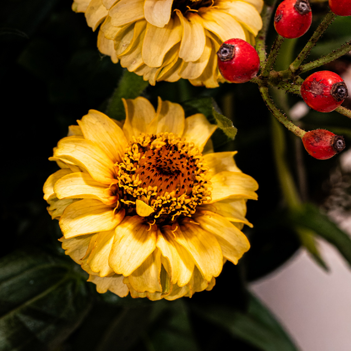Zinnia in het boeket van de week van Bloemenatelier