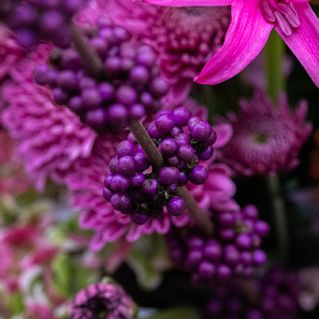 Schoonvrucht in het boeket van de week van Bloemenatelier