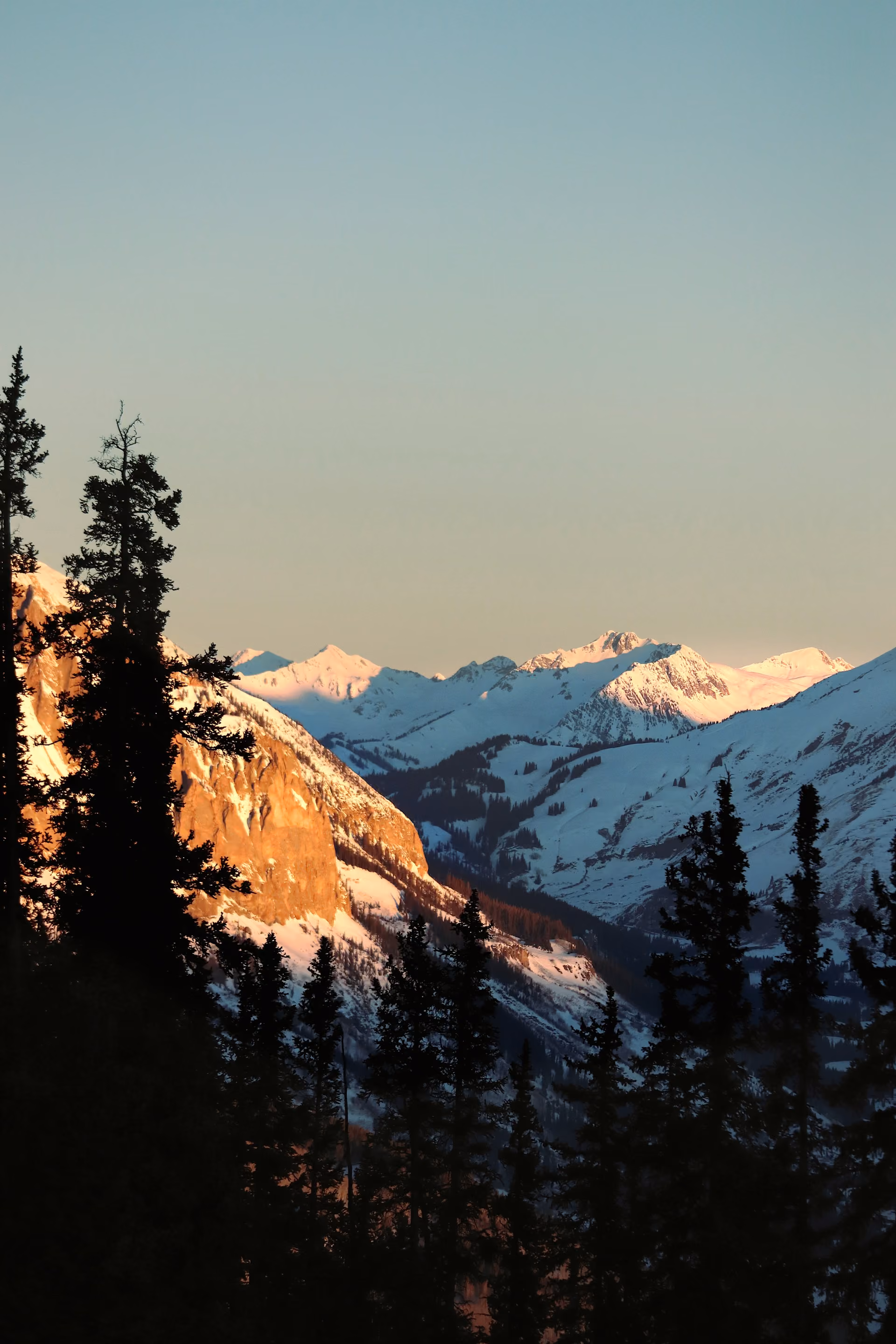 Snow-covered mountains with sunlight on rocky cliffs and dark pine trees in the foreground.