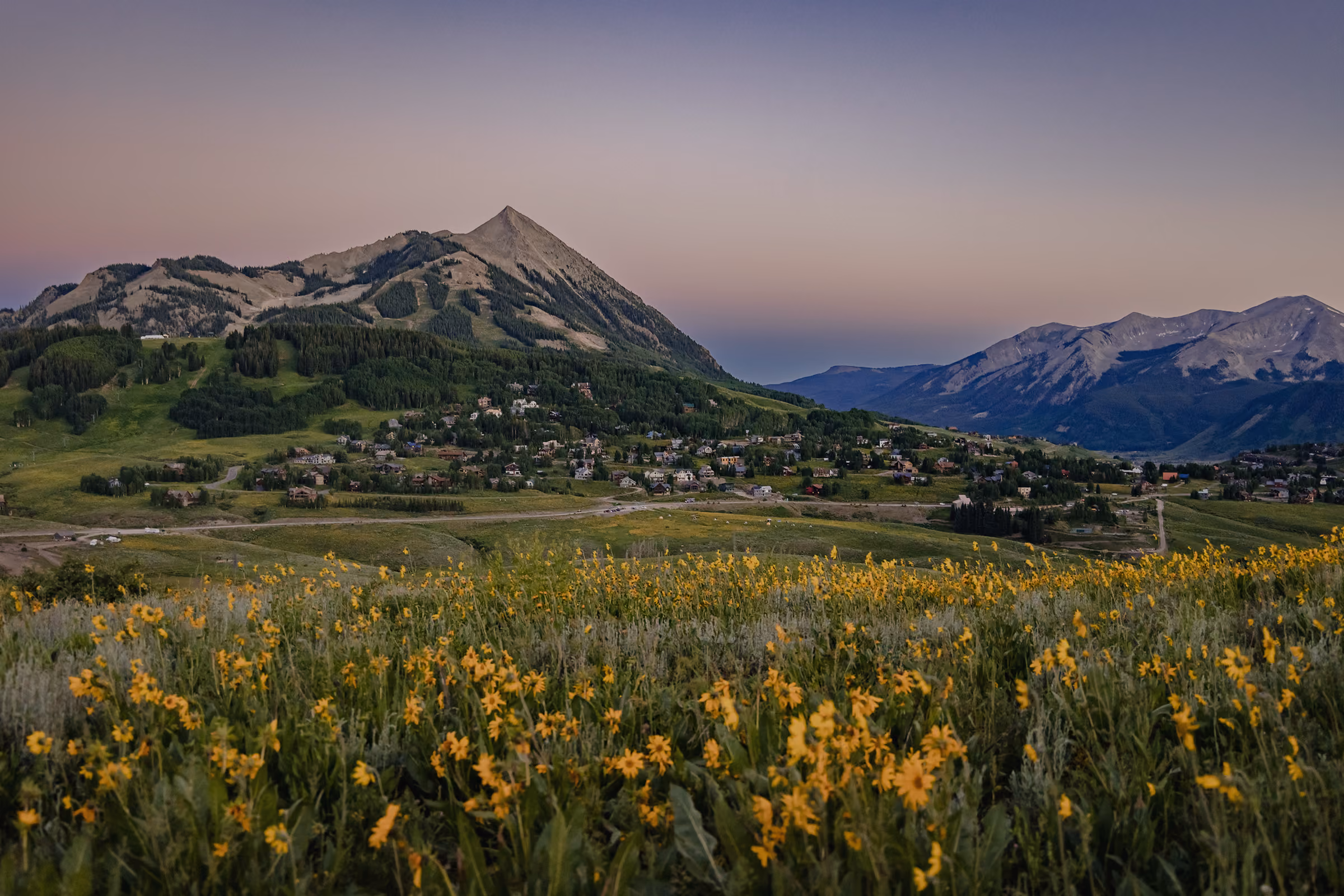 Field of yellow wildflowers with a mountain town and rugged peaks at dusk under a clear sky.