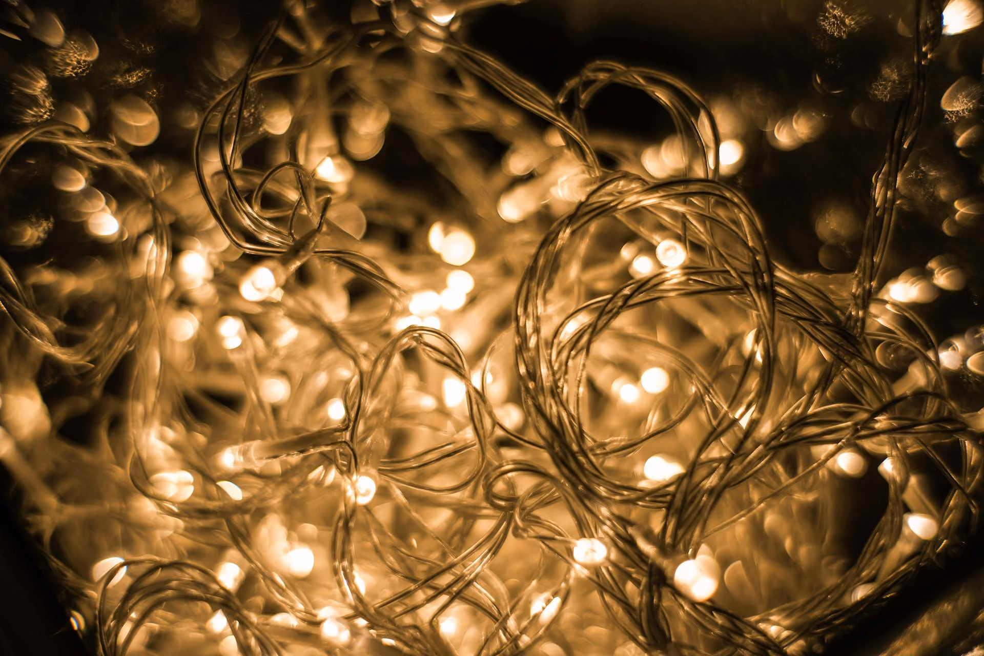 Tangled warm white fairy lights glowing softly against a dark background.