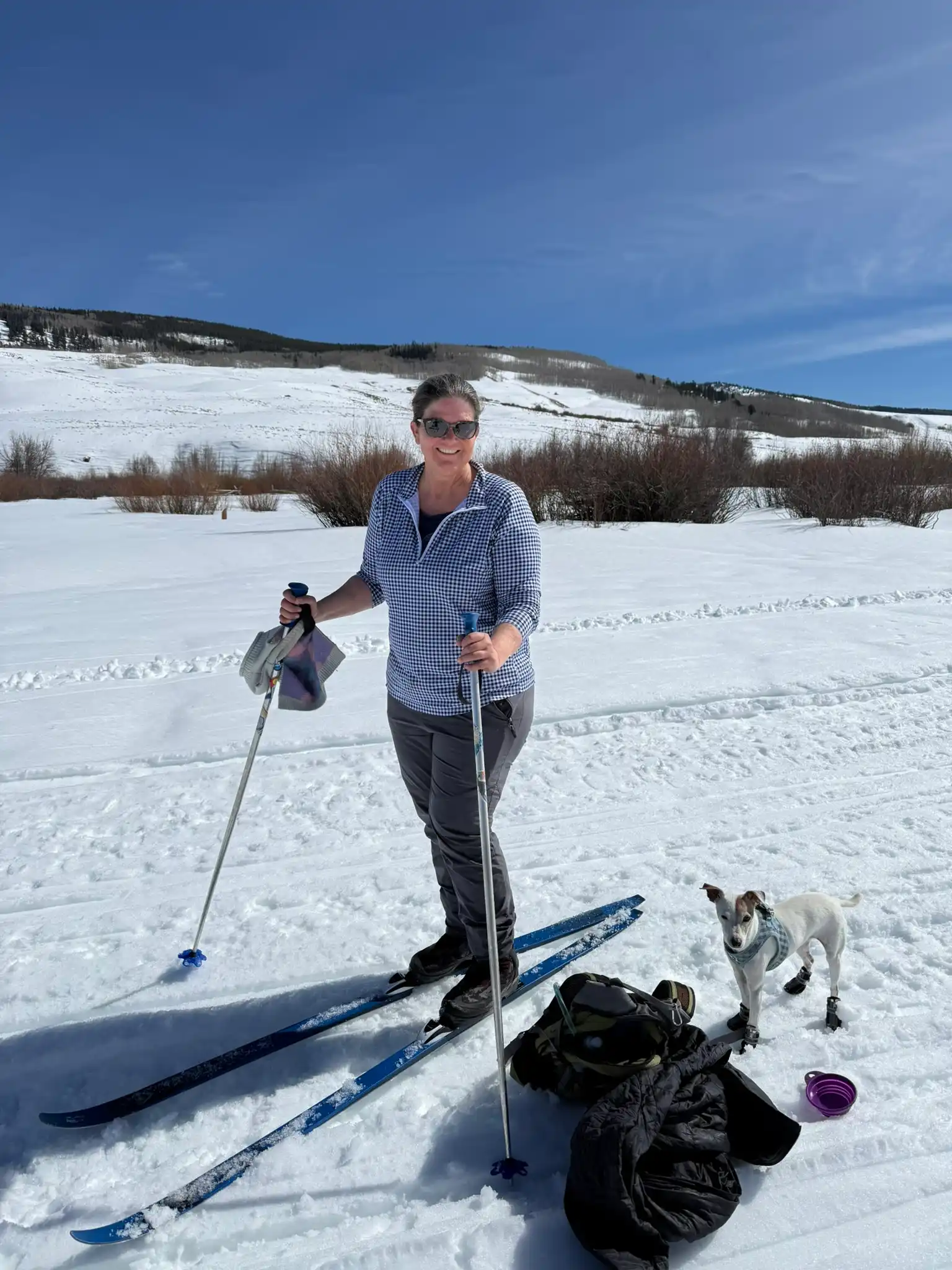 Woman in sunglasses on cross-country skis with poles and a dog with booties on snowy terrain.