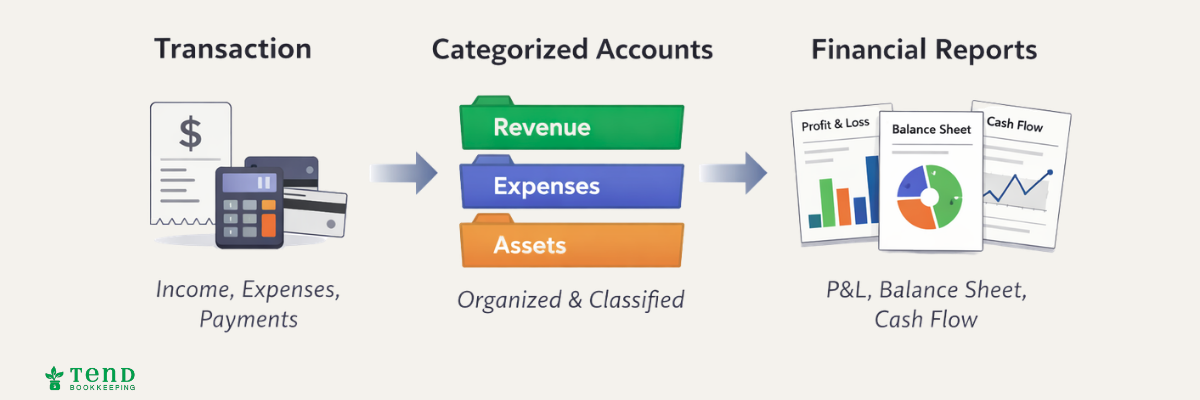 Diagram showing transaction categorization into financial reports