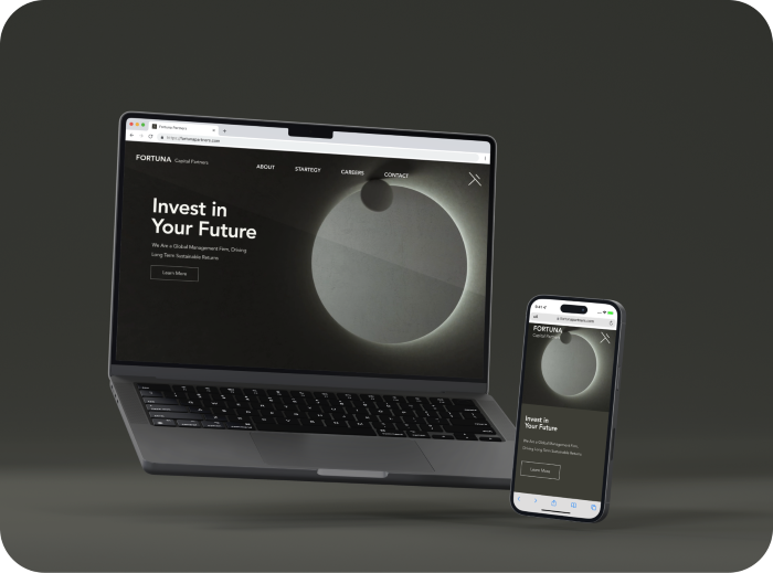 A cover image for Fortuna Capital Partners